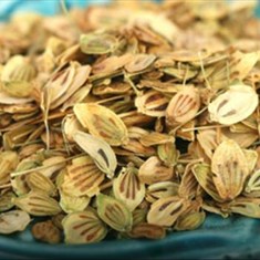 گلپر-درشت-کیلو