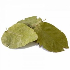 برگ-به-کیلو