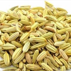 رازیانهکیلو