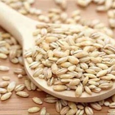 جو-پوست-کندهکیلو