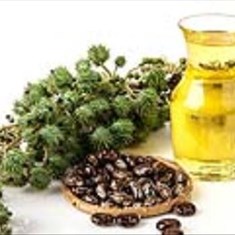 روغن-کرچک-60سی-سی