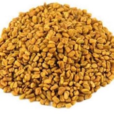 تخم-شنبلیلهکیلو