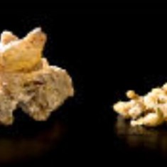 ترنجبین-کیلو