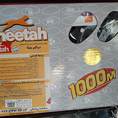 دزدگیر-معولی-چی