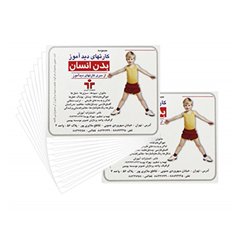 بازی-کارتهای-دیدآموز-مدل-اعضای-بدن