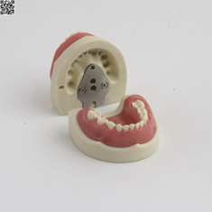 آرک-آموزشی-اطفال-با-دندان-های-پیچی-و-لثه-نرم-HT406