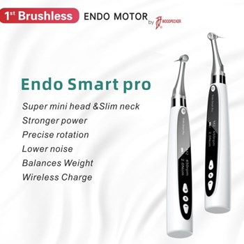 اپکس-روتاری-وودپیکر-اندو-اسمارت-پرو-Endo-Smart-Pro