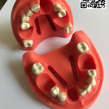 آرک-آموزشی-اندو-قابلیت-عکس-گرفتن-بهشتیHT-303