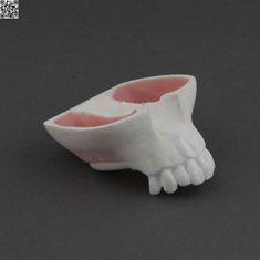 مدل-آموزشی-سینوس-لیفت-HT102