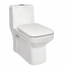 توالت-فرنگی-مرورایدیاریس