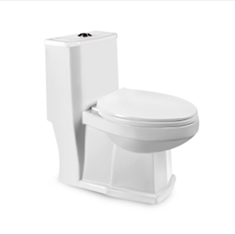 توالت-فرنگی-مرورایدرومینا