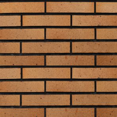 شاموتی-تیره