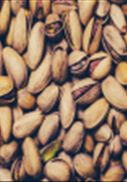 فروش-انواع-پسته-با-بهترین-کیفیت