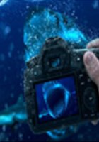 خرید-و-قیمت-فروش-جدیدترین-دوربین-های-عکاسی-از-بهترین-برندها