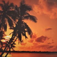 پرده-تصویری-ND872