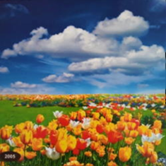 پرده-تصویری-ND-2005