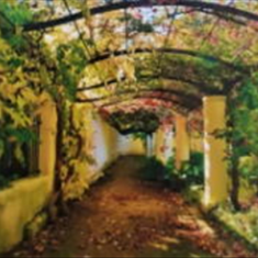 پرده-تصویری-ND-469