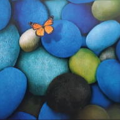 پرده-تصویری-ND-862