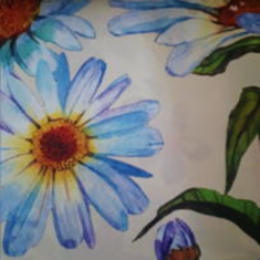 پرده-راشل-YP-67286-1