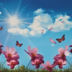 پرده-تصویری-ND-1925