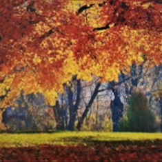 پرده-تصویری-ND-904