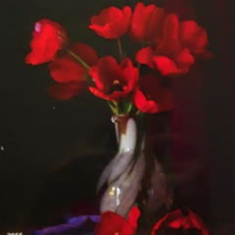 پرده-تصویری-ND-2055