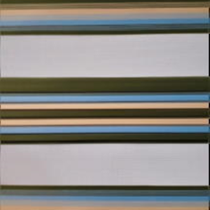 پرده-زبرا-ND-820