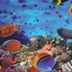 پرده-تصویری-ND-2142