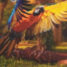 پرده-تصویری-ND-2143