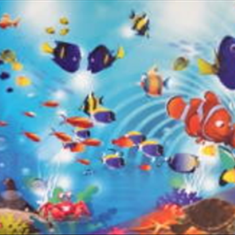 پرده-تصویریسه-بعدی-ND-1870