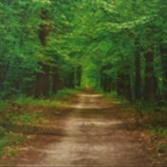 پرده-تصویری-ND-1951