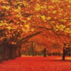 پرده-تصویری-ND-1923