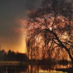 پرده-تصویری-ND-887