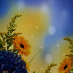 پرده-تصویری-ND-2051