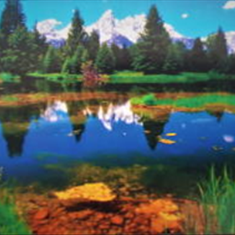 پرده-تصویری-ND-858