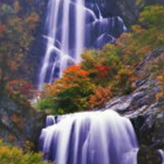 پرده-تصویری-ND-2019