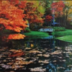 پرده-تصویری-ND-892