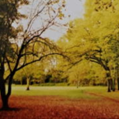 پرده-تصویری-ND-150