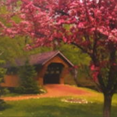 پرده-تصویری-ND-1988