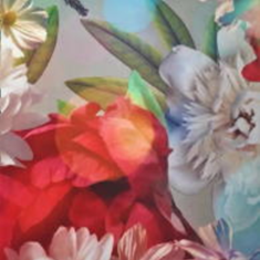 پرده-راشل-YP-43532-5