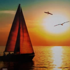 پرده-تصویری-ND-2003