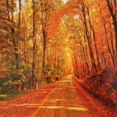 پرده-تصویری-ND-2021