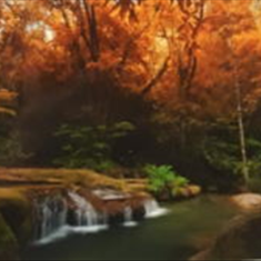 پرده-تصویری-ND-1909