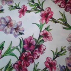 پرده-راشل-YP-26010-1