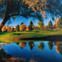 پرده-تصویری-ND-476