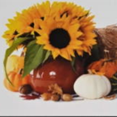 پرده-تصویری-ND-2101