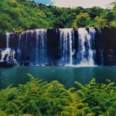 پرده-تصویری-ND-454