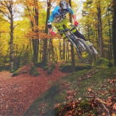 پرده-تصویری-ND-2135