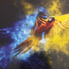 پرده-تصویری-ND-2150