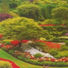 پرده-تصویری-ND-1899